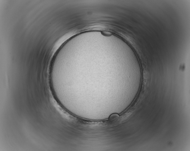 X0000114631426200911101226