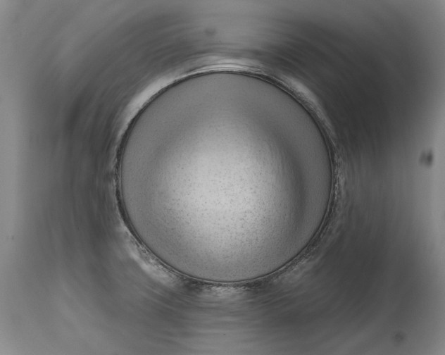 X0000114631427200911101226