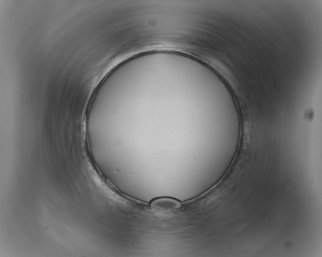 X0000114631428200911101226