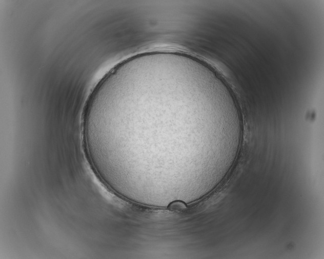 X0000114631430200911101226