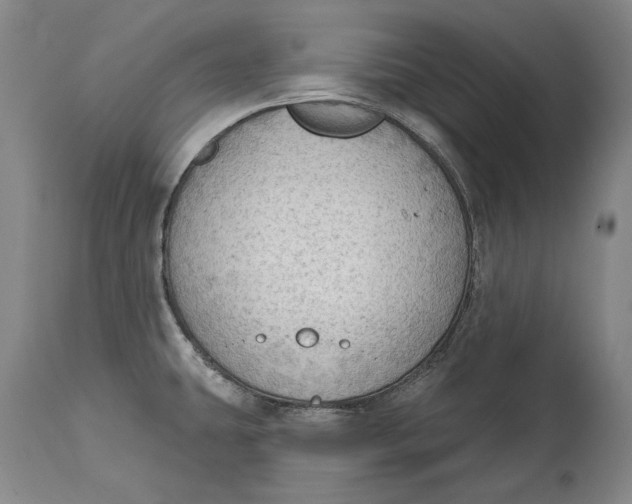 X0000114631431200911101226