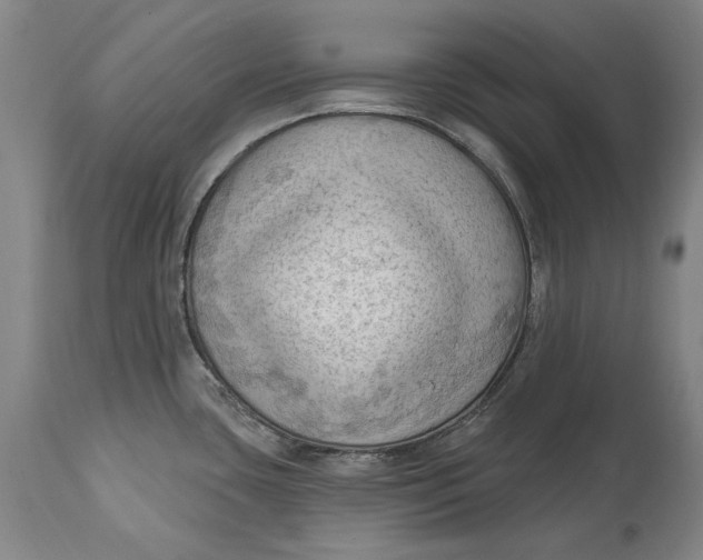 X0000114631435200911101226