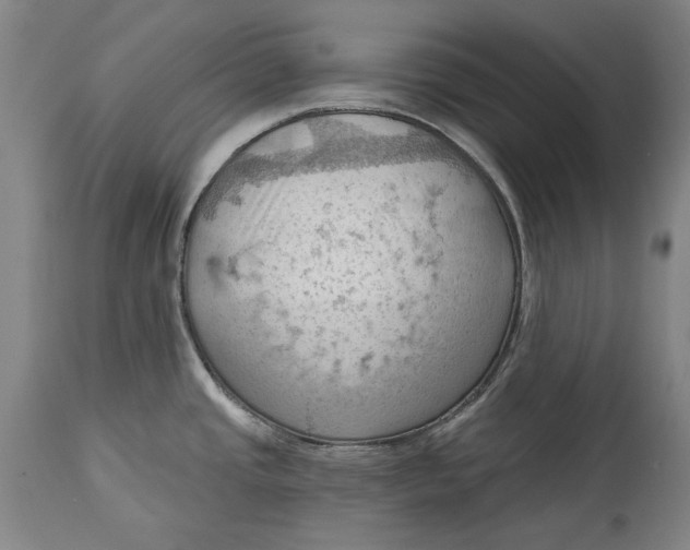 X0000114631437200911101226