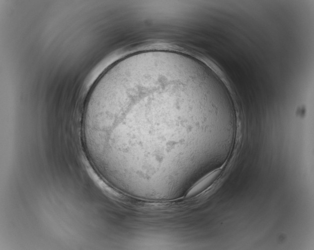 X0000114631438200911101227