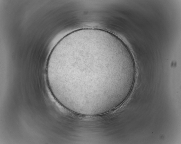 X0000114631440200911101227