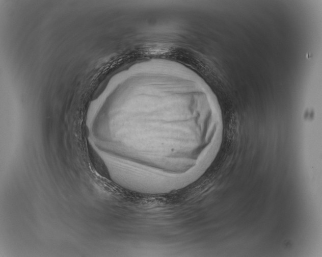 X0000114631441200911101226