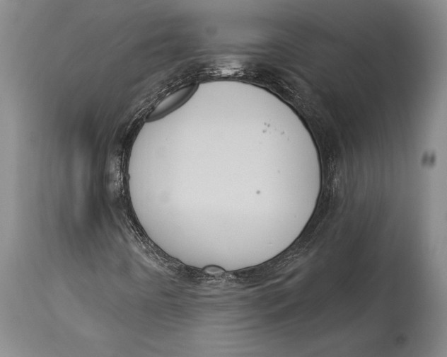 X0000114631442200911101226