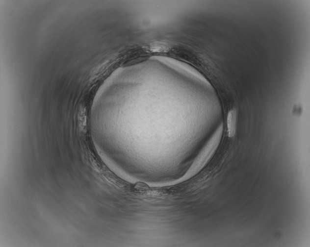 X0000114631443200911101226