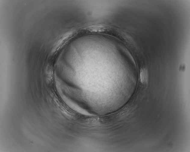 X0000114631444200911101226