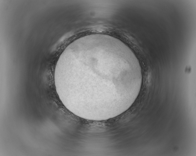 X0000114631446200911101226