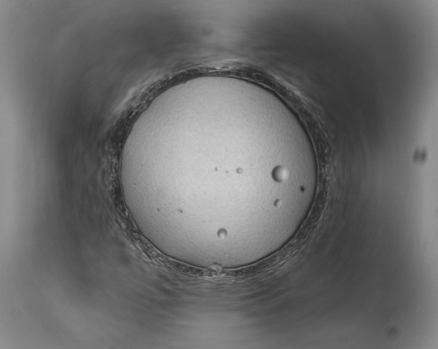 X0000114631447200911101226