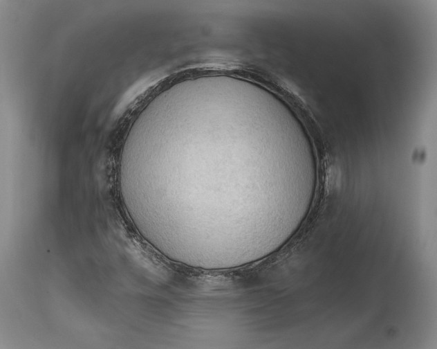 X0000114631448200911101226