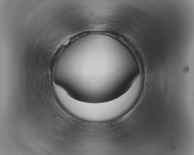 X0000114631449200911101226