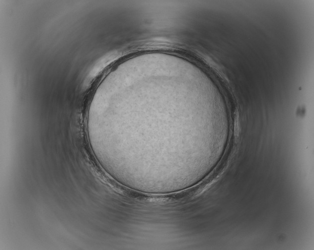 X0000114631453200911101226