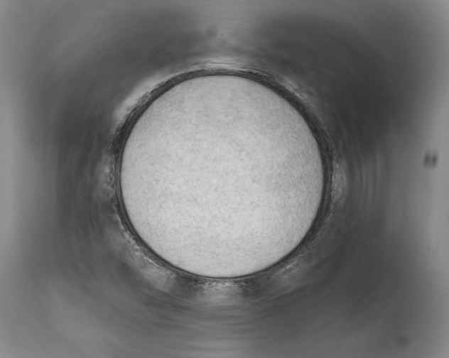 X0000114631454200911101226