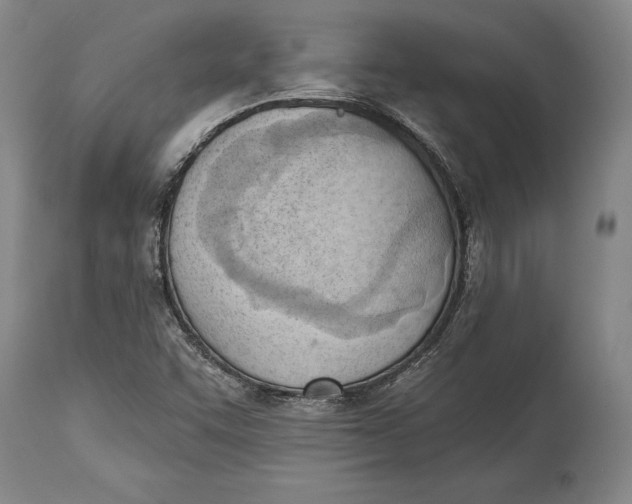 X0000114631455200911101226