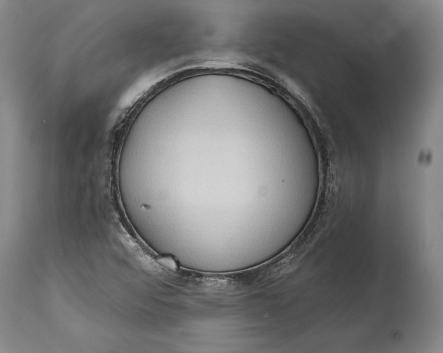 X0000114631456200911101226