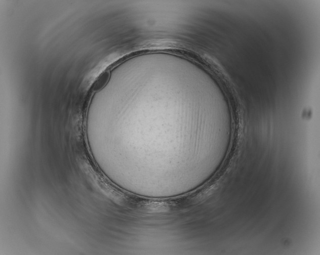 X0000114631457200911101226