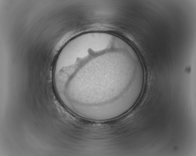 X0000114631459200911101226