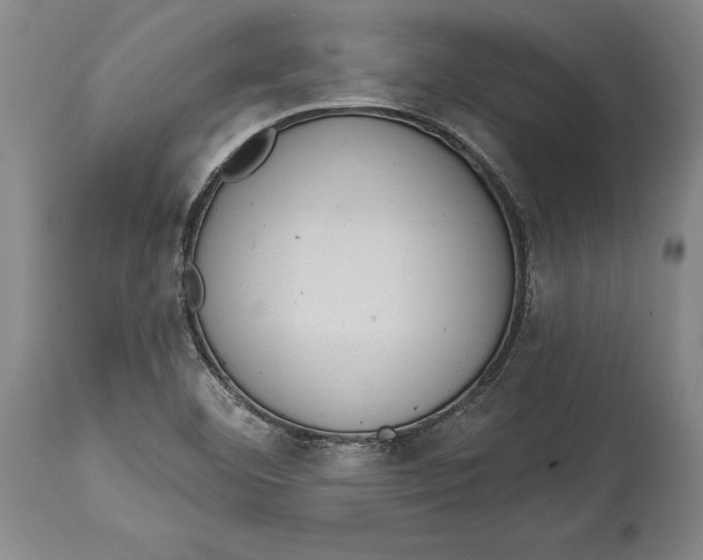 X0000114631460200911101226