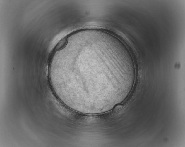 X0000114631461200911101226