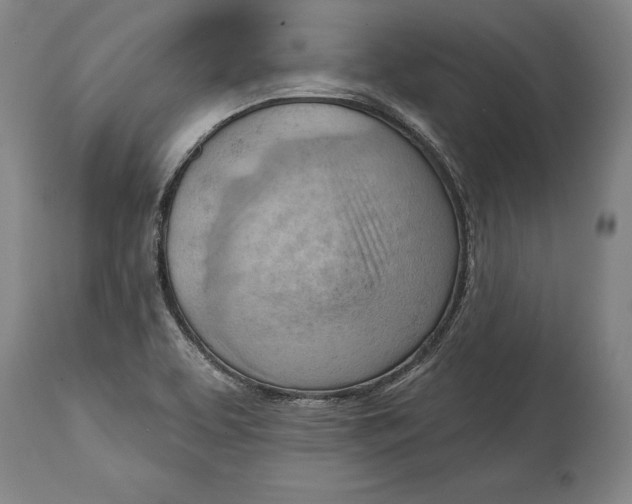 X0000114631463200911101226