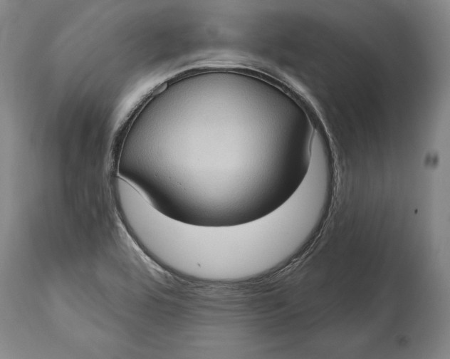 X0000114631464200911101226