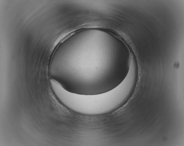 X0000114631465200911101226