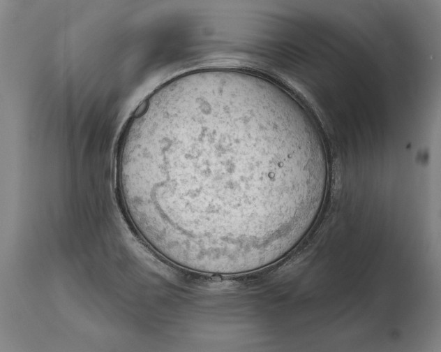 X0000114631467200911101226