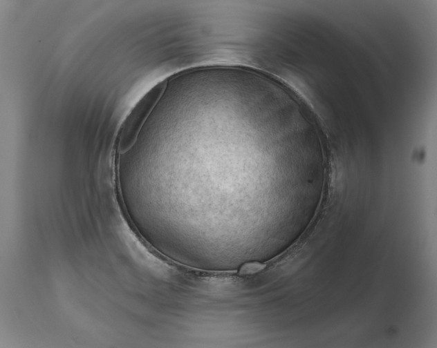 X0000114631468200911101226