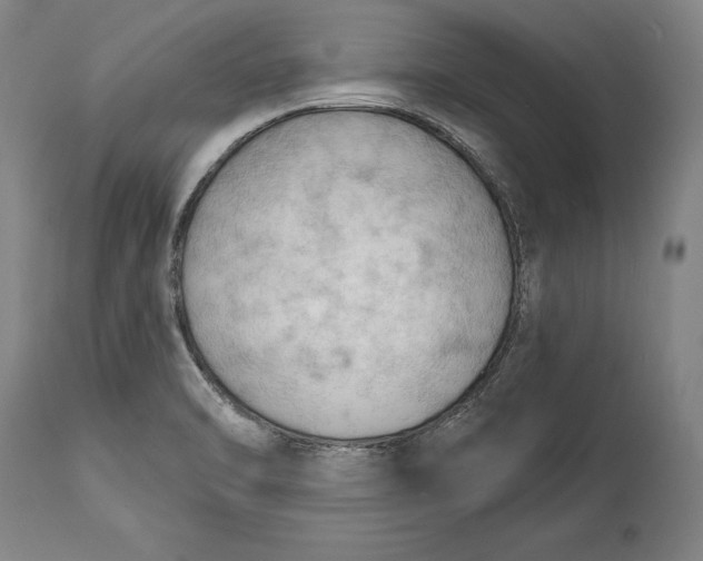 X0000114631470200911101225