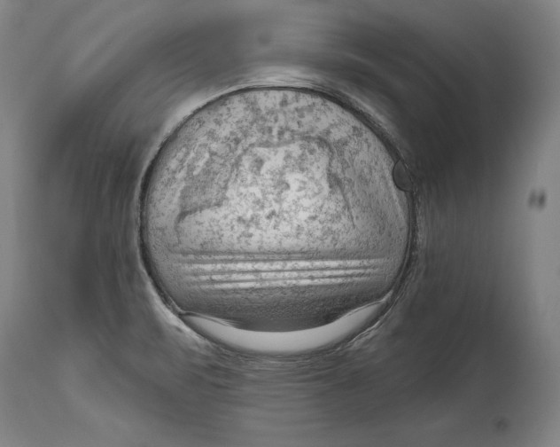 X0000114631471200911101225