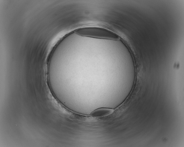 X0000114631472200911101225