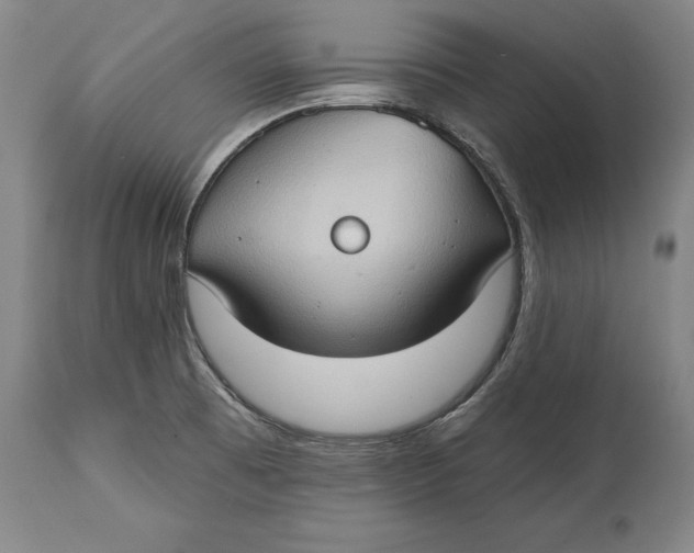 X0000114631473200911101225