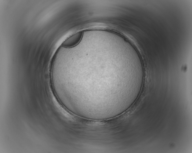 X0000114631475200911101225