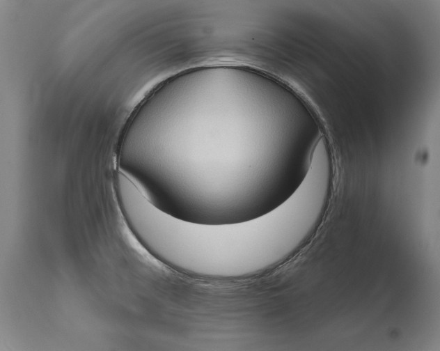 X0000114631476200911101225