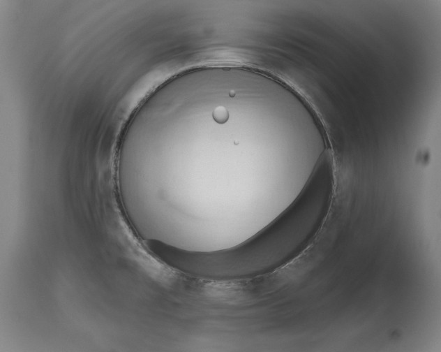 X0000114631477200911101225