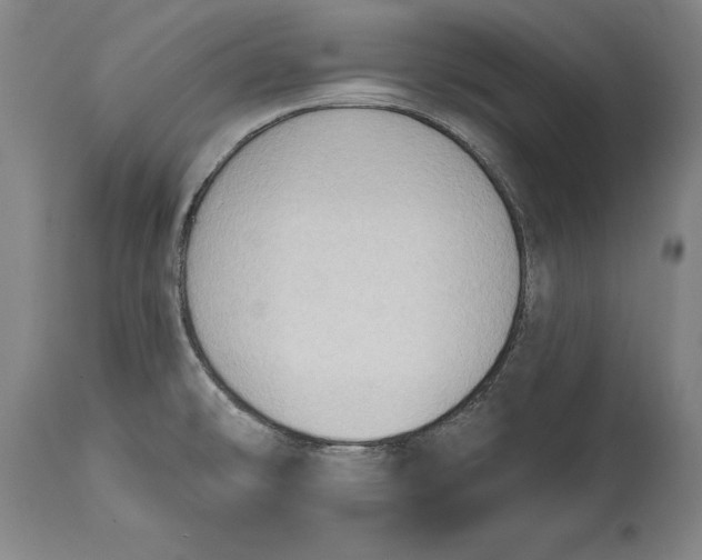 X0000114631478200911101225