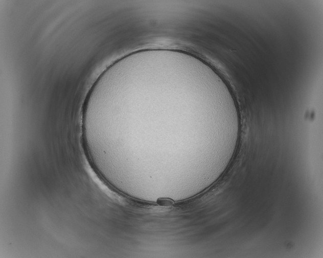 X0000114631479200911101225