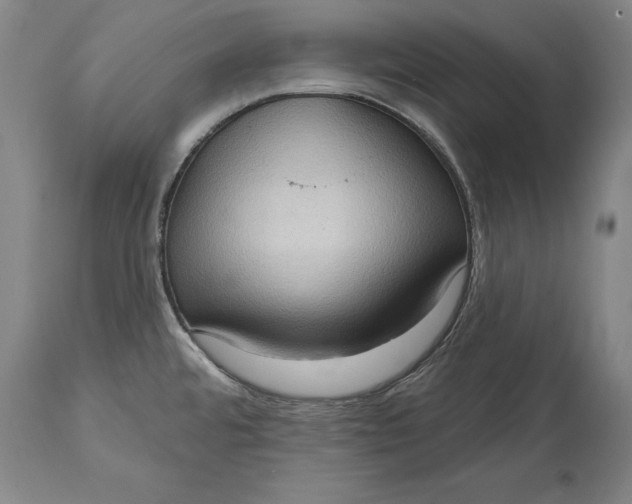 X0000114631480200911101225