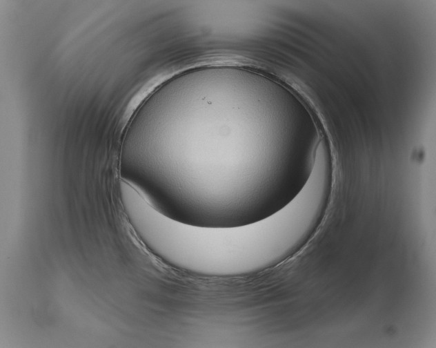 X0000114631481200911101225