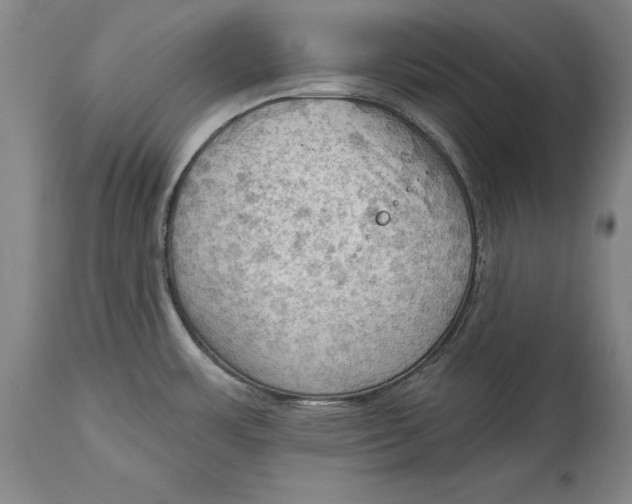 X0000114631483200911101225