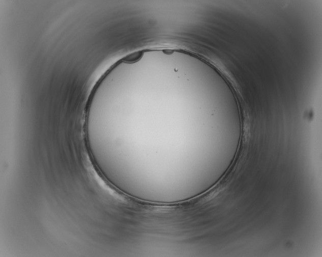 X0000114631484200911101225