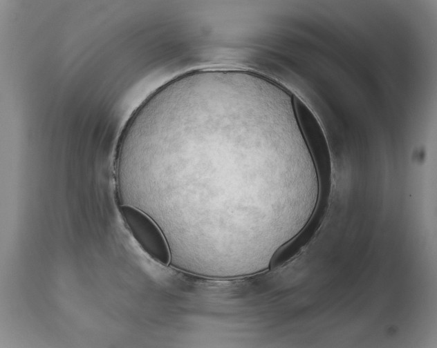 X0000114631485200911101225