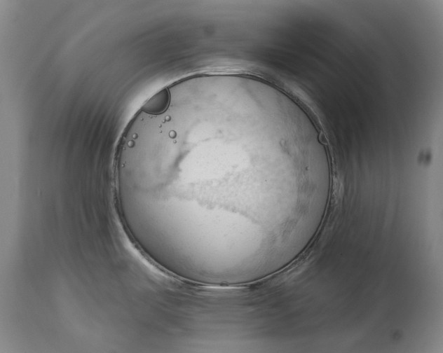 X0000114631487200911101225