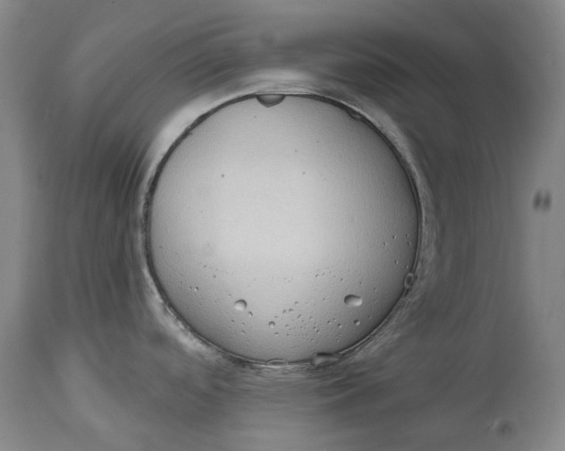 X0000114631488200911101225