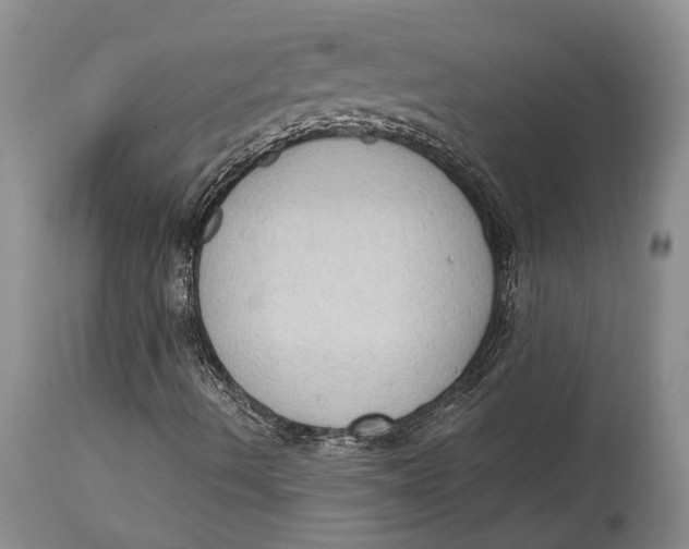 X0000114631490200911101224