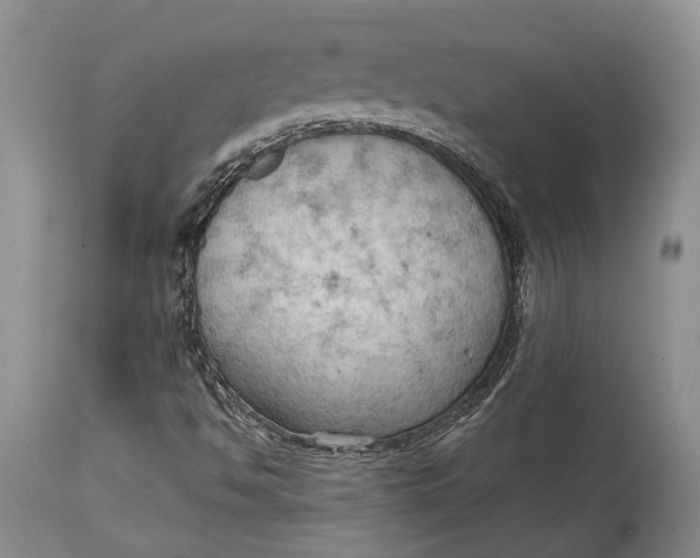 X0000114631494200911101224