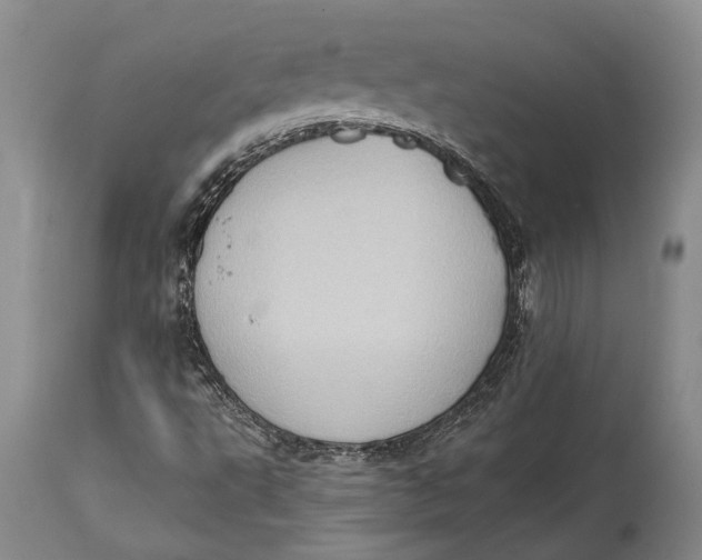 X0000114631495200911101224