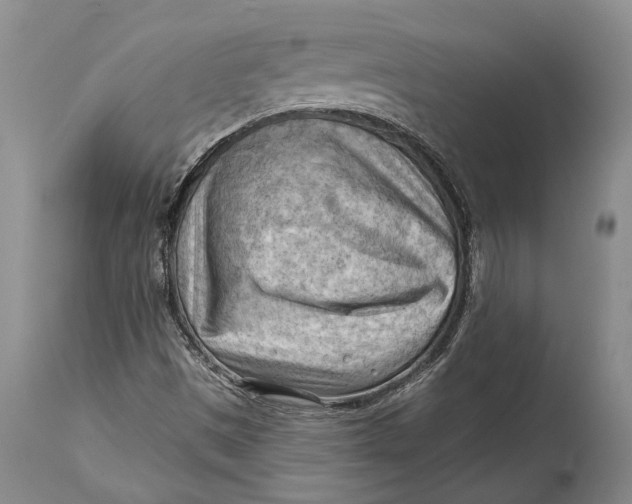 X0000114631497200911101225